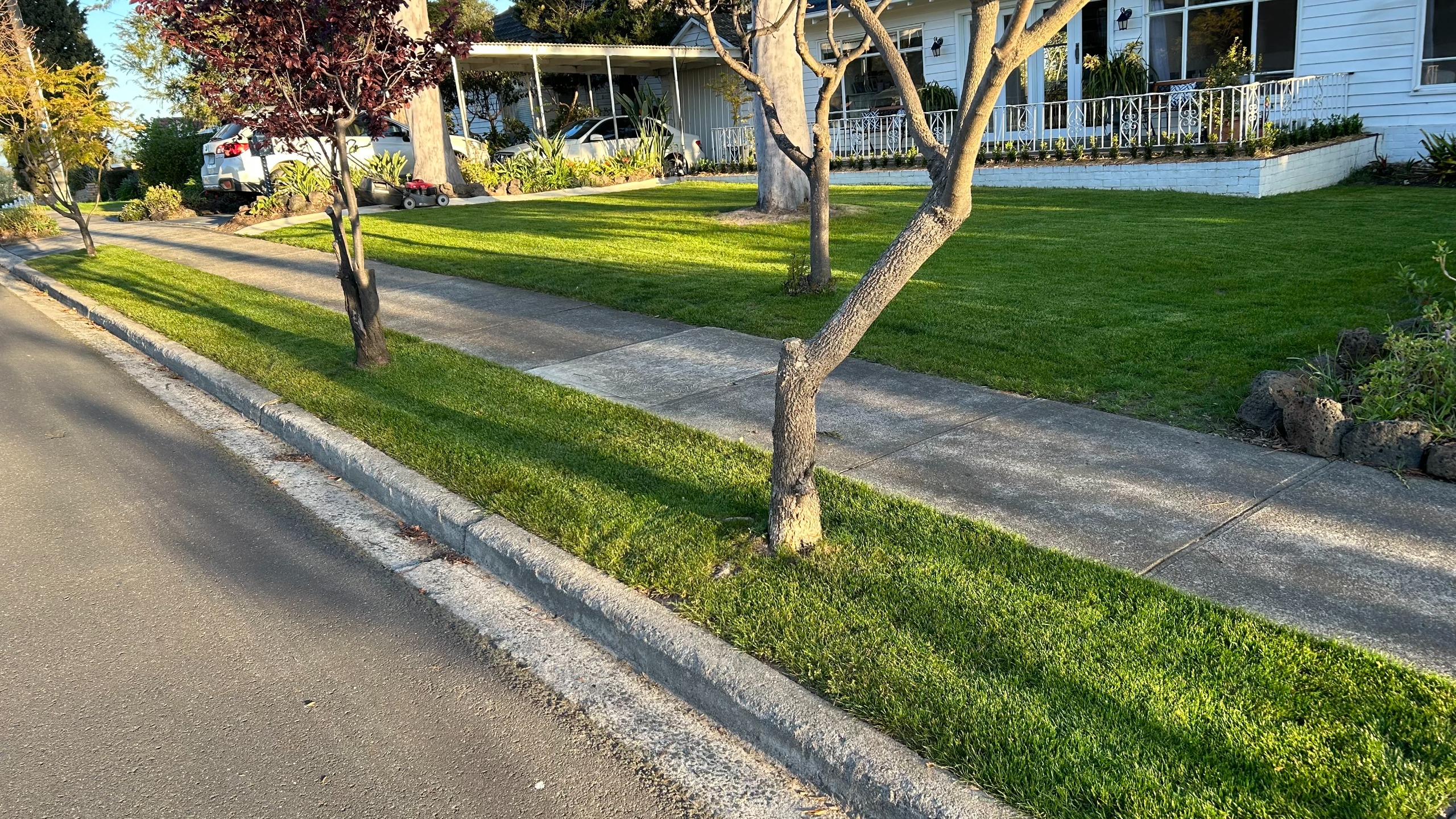 Nature Strip Policy Participate Hume